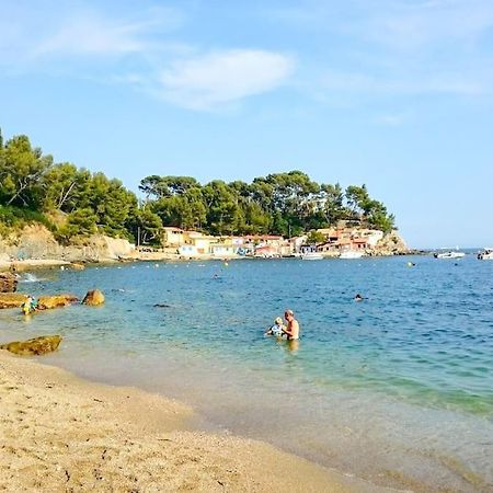 T2 Cosy Toulon, Proche Plage Exteriér fotografie